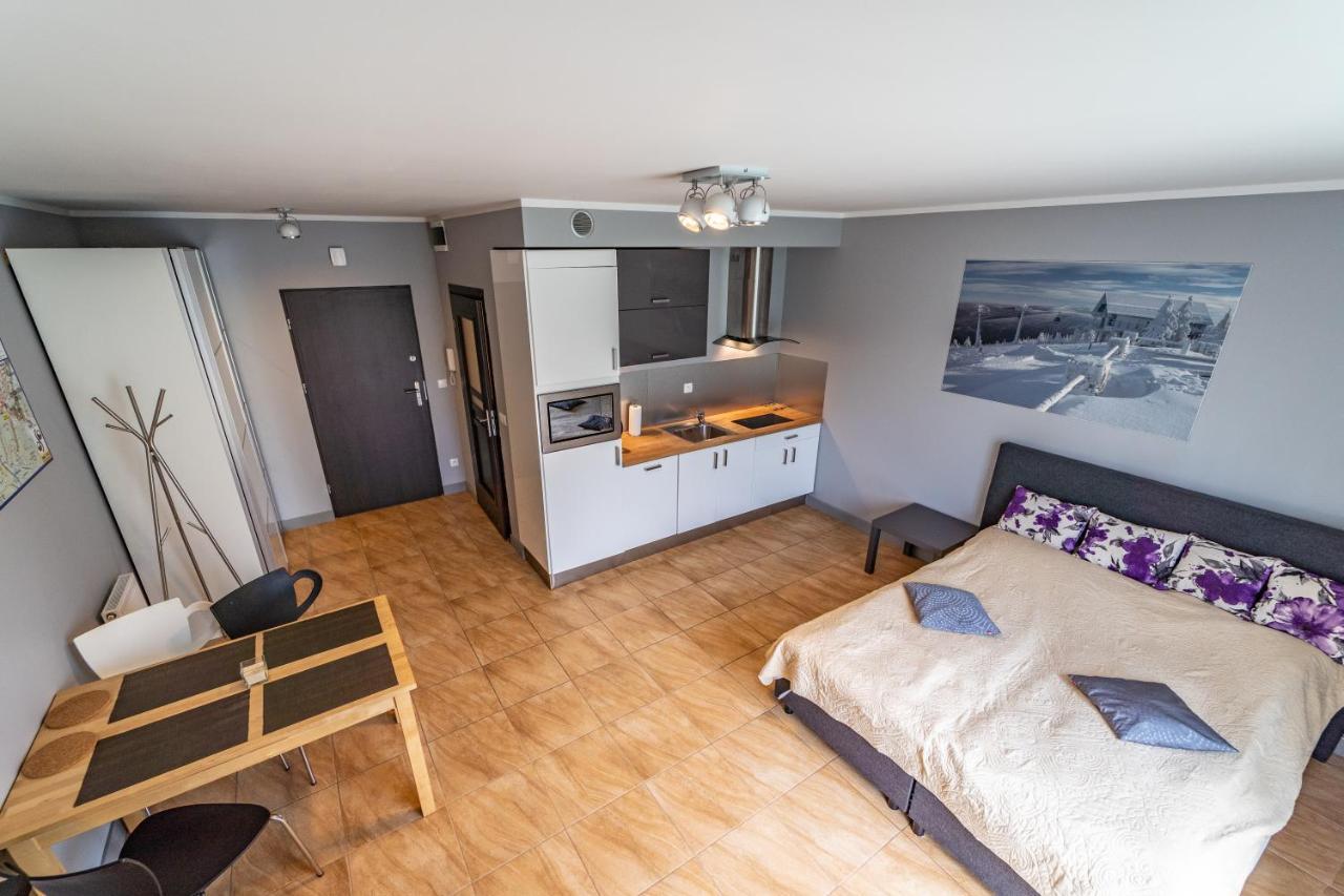 Apartament Zielony Zakątek Świeradów-Zdrój Zewnętrze zdjęcie